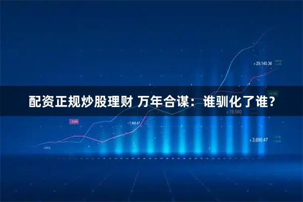 配资正规炒股理财 万年合谋：谁驯化了谁？