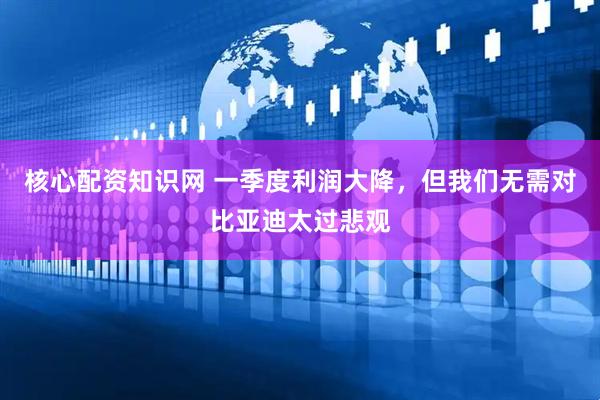 核心配资知识网 一季度利润大降，但我们无需对比亚迪太过悲观